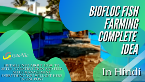 biofloc fish farming complete ideas in hindi 2021