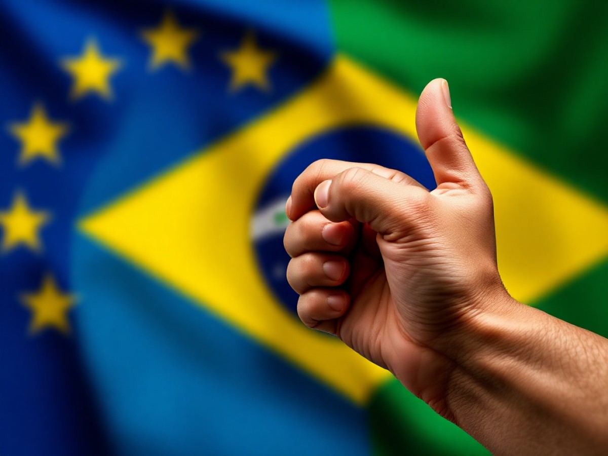 Brazil completes its legislative process and ratifies the EU–Mercosur deal