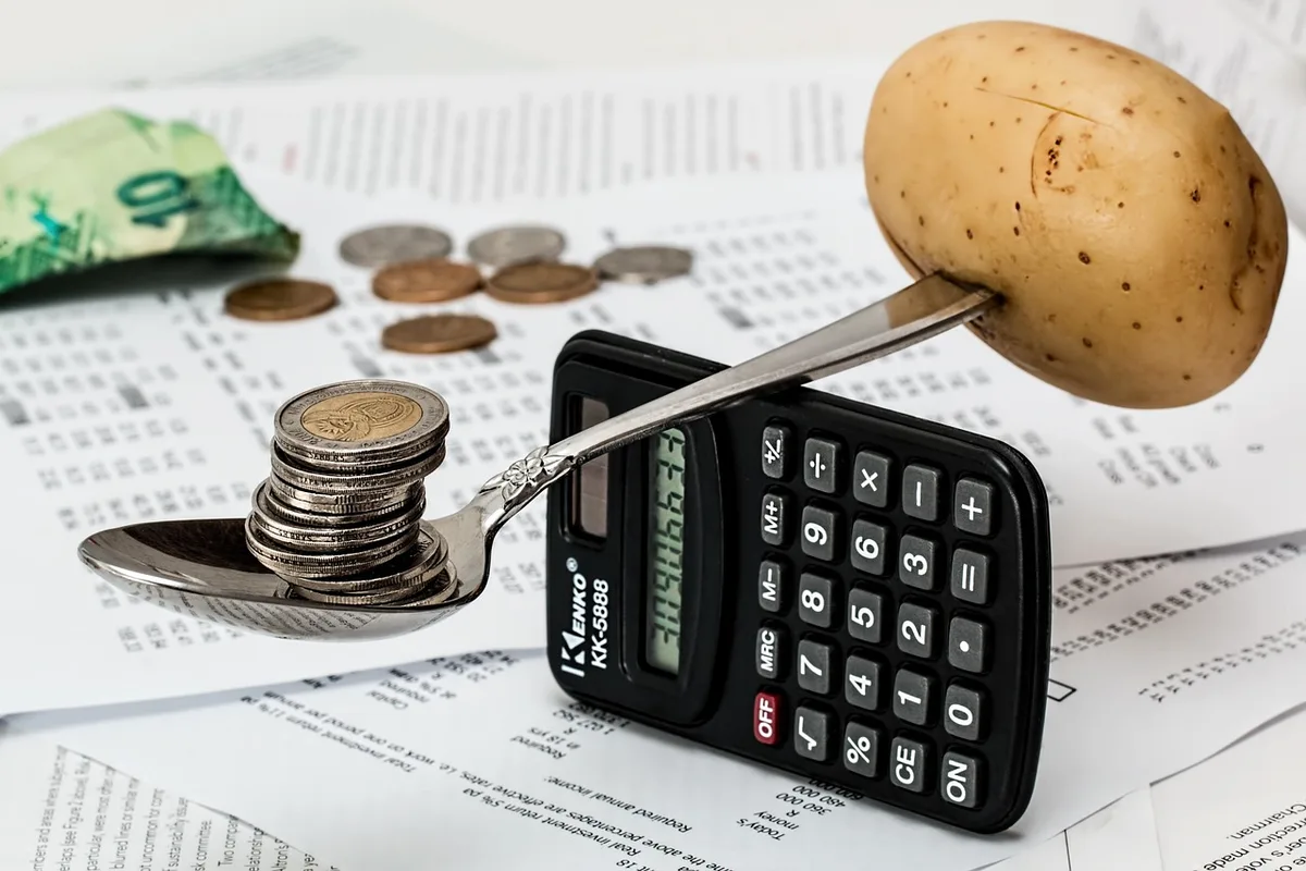 Business professional reviewing software pricing and licensing options