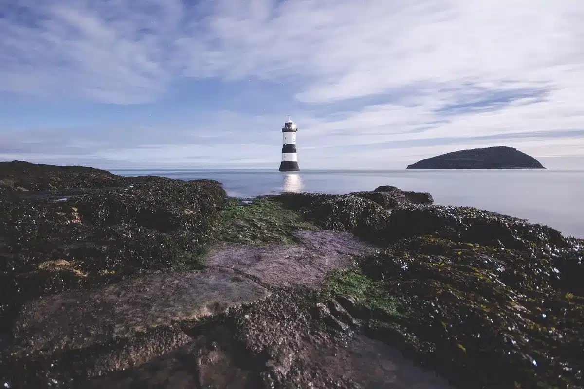 Wind-swept Falklands coastline with low hills and sea